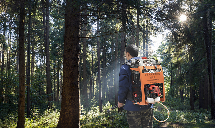 43681e67401959d45718d1db651854e1_202108121113446012.jpg 43681e67401959d45718d1db651854e1_202108121113446012.jpg